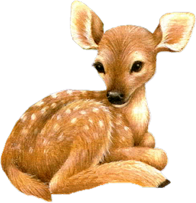 4cerf-biche-etcpng.png