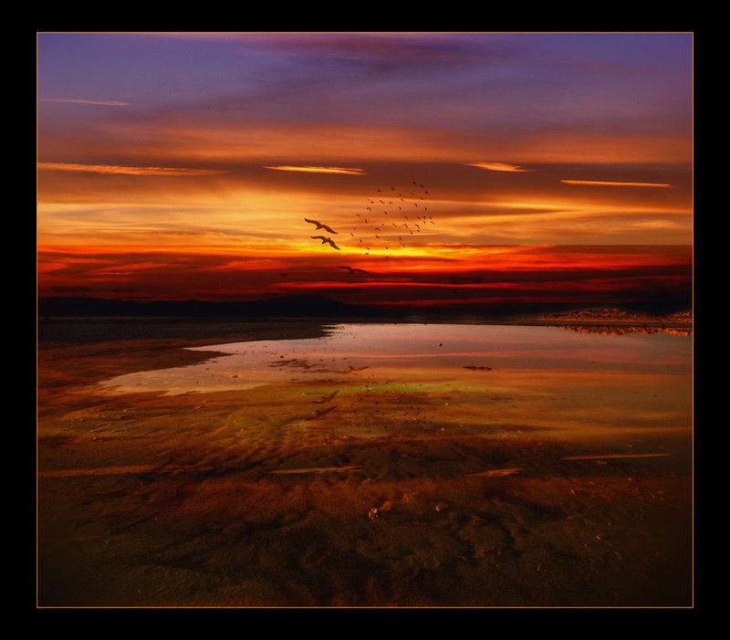 545602Into_the_Sunset_by_Misty2007.jpg