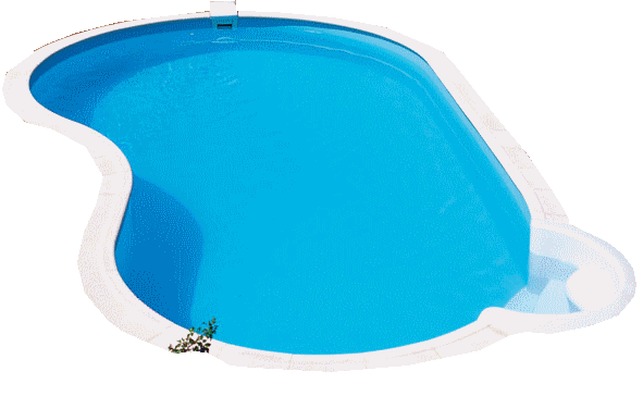 5601086piscinetrans.gif