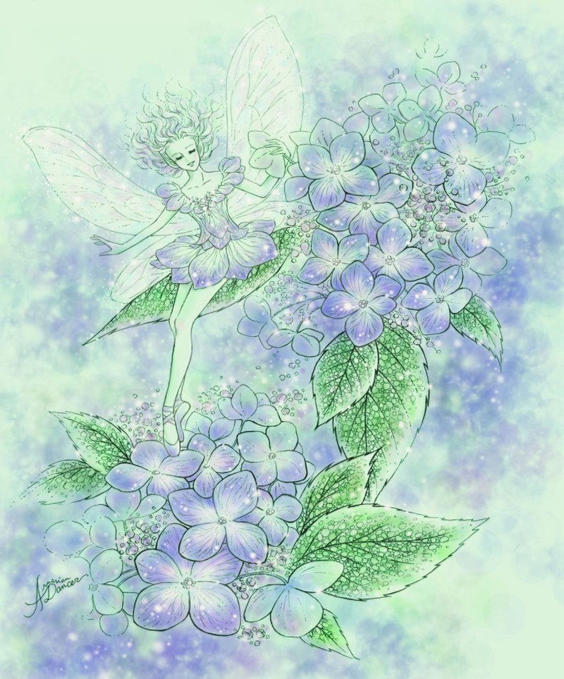 Blue_Hydrangea_by_aruarian_dancer.jpg