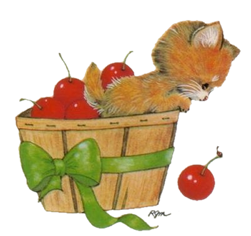 CAT_WITH_CHERRYS.png