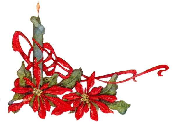 Chandelle_Poinsettia_ded.png