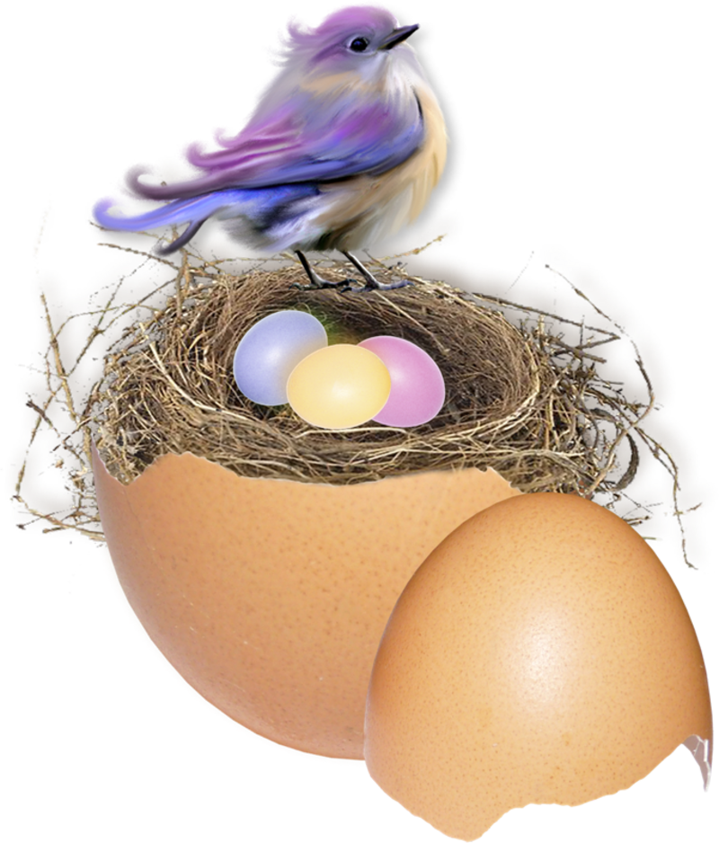 Eggcitement-cluster-1.png