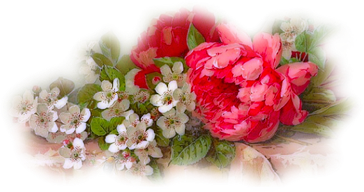 Misted5FTabletop5FFlowers5FRM.png