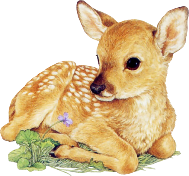 Myst_2_AP_Unknown_Cutie_Bambi_Small.png