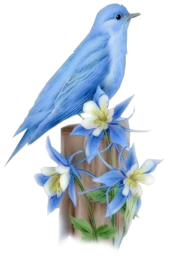 Oiseau-bleu.png