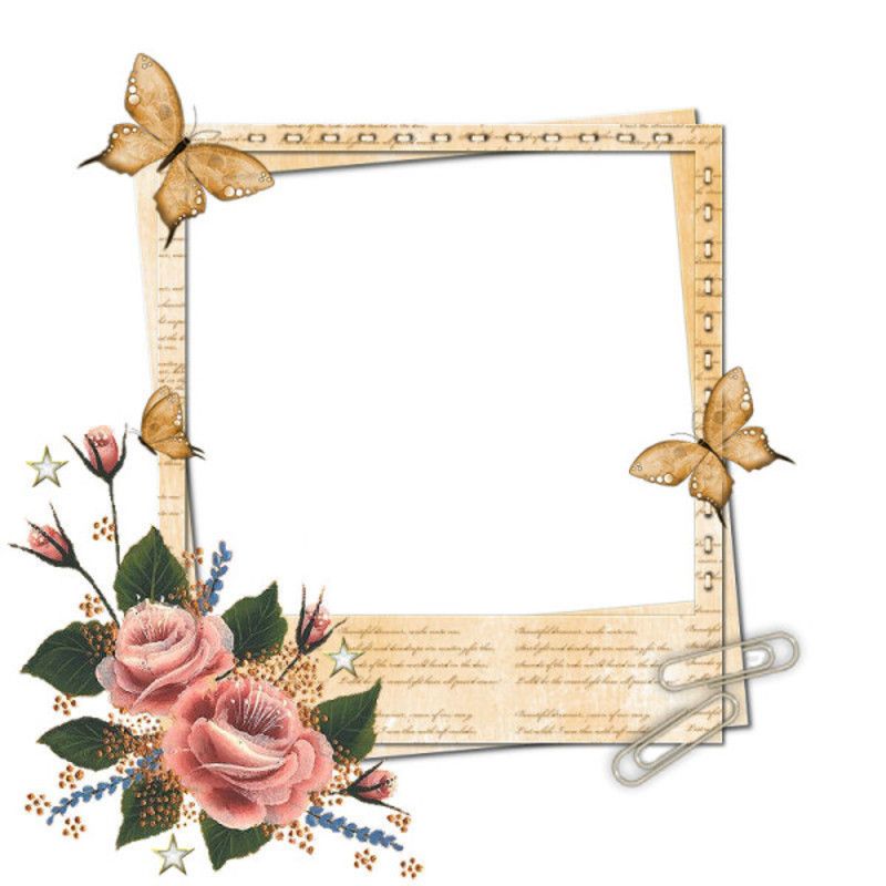 SN-Butterfly-Polaroid-Frame.jpg