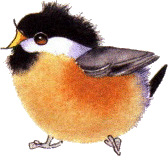 bird2310.gif