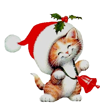 cat-in-xmas-hat-with-bell.png