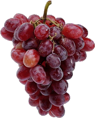 grapes10.gif