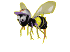 insectes-abeilles-10.gif