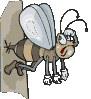 insectes-abeilles-86.gif