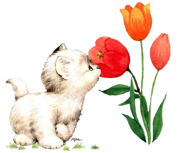 kitten_smelling_tulip_dedinelle_1.png