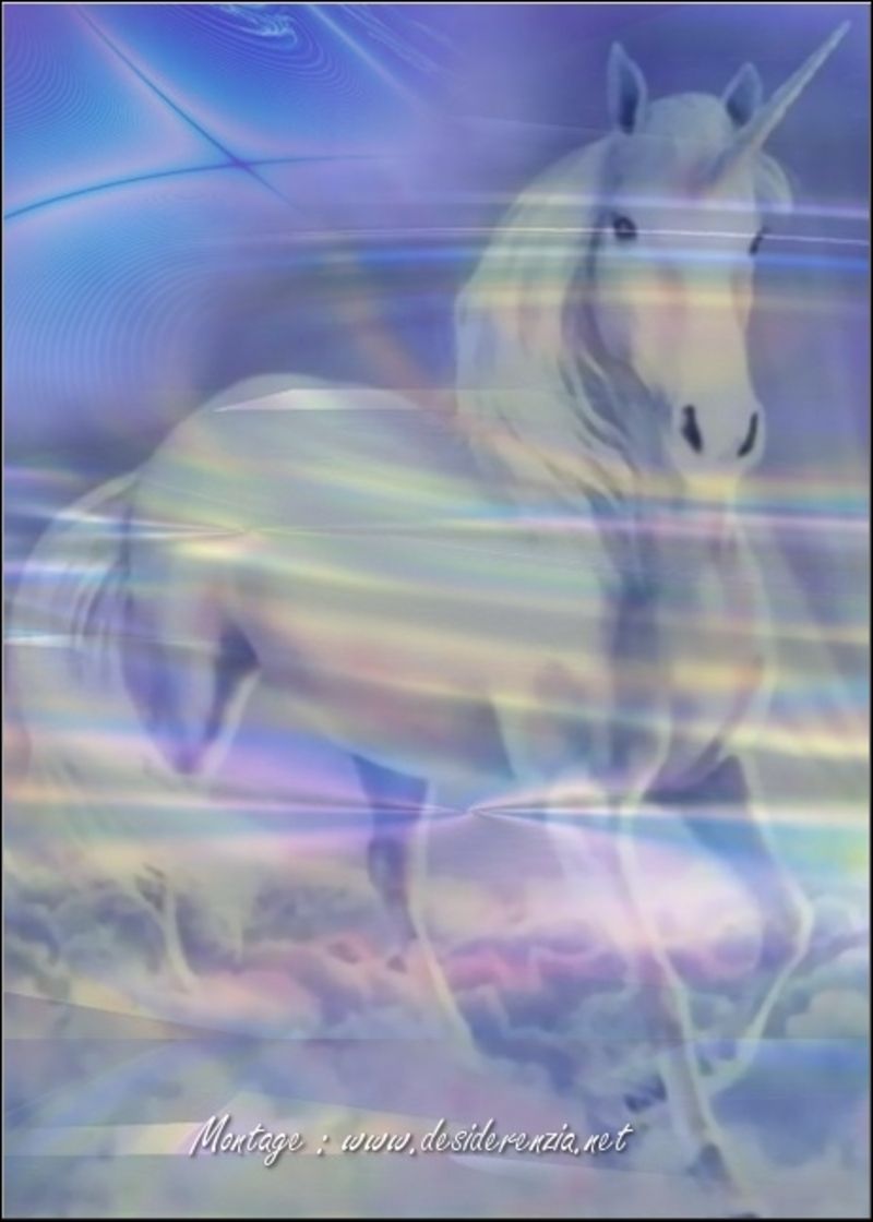 licorne37.jpg