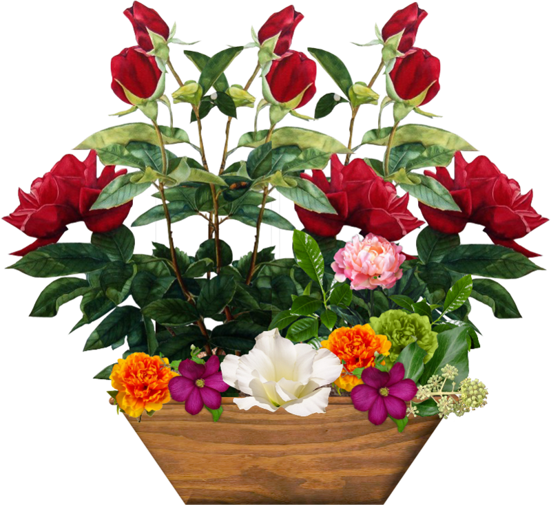 potfleurs23m4.png