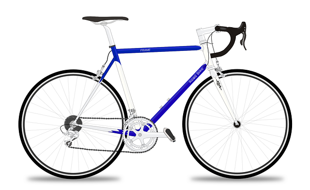 racing-bicycle-161449_640.png