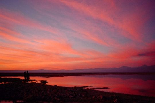 salar-d-atacama-chili-813669_1.jpg